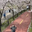 남자 봄 코디 후드 야상과 핑크 독일군 스니커즈 조합