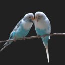 방구경로당 이미지