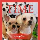 포포앤미루 강동점 이미지