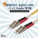 피그테일 이미지