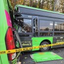 애니 신정 이미지