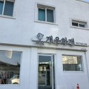 개운하개 | 광주 남구 애견미용 개운하개 푸들 테디베어컷 귀욤