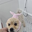 꾸미멍 이미지