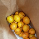 연님농장 이미지