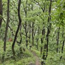 대전둘레산길(5구간) 이미지