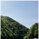 스테이브릴 이미지