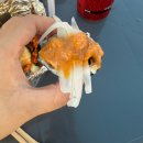 민경언니따라 떠난 제주 여행 소모소, 브라보 아이스크림, 송송김밥, 조천수산