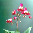 5월 9일 금요일 간추린 뉴스와 날씨 이미지