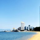 카멜리아 이미지