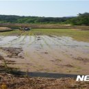 복사꽃마을영농조합법인 이미지