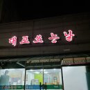 대포쏘는날 이미지