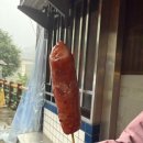 급발진 대만여행