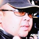 김정남 티브이데일리