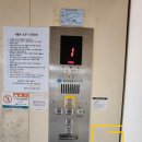 개인화물3632 이미지