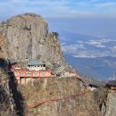 늑대와여우 이미지