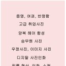 롯데사진관 이미지