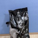 캐츠아이 | 캐츠아이 키튼앤캣 고양이사료 후기 *왜 대용량 사료로 인기 많을까? 가성비 대용량 사료 찾는다면 추천*