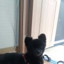 멍멍회관 이미지