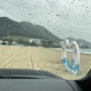 기연목장 이미지