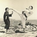 창조태권도 이미지