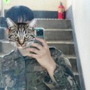 감천1동-11 | 스와인의 기록)예비군 작계훈련 2차 다녀온 스와인+사하구 작계훈련 꿀팁