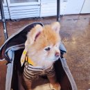 더봉이칼국수전문점