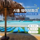 거북 파크 | 시흥 웨이브파크 서핑 입문 후기｜Lv.1 강습부터 어반스테이·썸머나이트페스타까지 1박 2일
