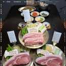 임금돼지잠실