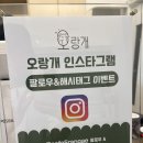 오랑개 이미지