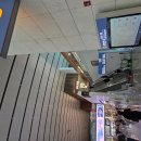 인천국제공항 제2터미널 [마티나 라운지 VS 스카이허브] 이용 후기