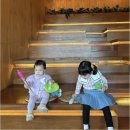 탄스비치 이미지