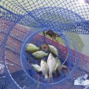 백학낚시터 이미지