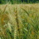 합천농자재 이미지