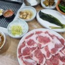 불빛가브리살