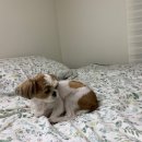 퀸즈파크세탁 이미지