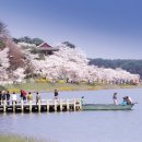 경포대오토캠핑장 이미지