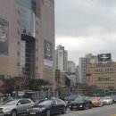 고속터미널 꽃시장(화훼상가), 강남꽃도매상가 - 크리스마스 트리 구입 후기 (구매 요령)
