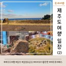 동부태권도 | [제주도여행] 아이와 함께 제주도여행 일정표 공유 제주투어패스 (2)