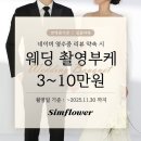가성비 부케 맛집 양재 꽃집 ‘심플라워’ 부케 주문 후기
