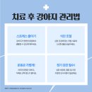 송림동물병원 네이버블로그