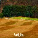 CM골프존 이미지