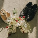 예그리나(Yegrina) 이미지