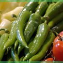 대전한의원 이미지