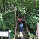 당동3 | 장수 장안산 산행(무령고개-장안산-하봉-연주마을)