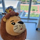렛츠성형외과의원 네이버블로그