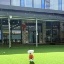 헤이, 댕댕 이미지