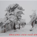 환상의 추억 이미지