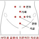 부인과 질환의 광명의학 치료법 이미지