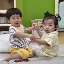 (260901) 언어 - 움직이는 거북이 놀잇감이 있어요 이미지