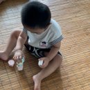 [맘스홀릭/(주)엠베이비]우리아이 첫 몬테소리 장난감은 엠베이비 "익스플로어 플랜트 &amp; 액티비티...